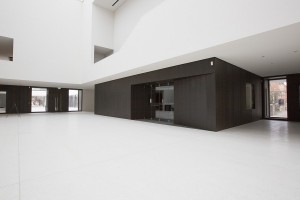 landesmuseum-muenster-2